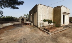 Dettaglio
