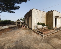 Dettaglio